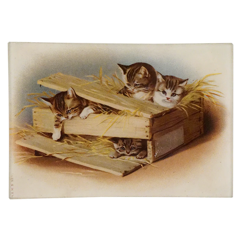 Cat Crate
