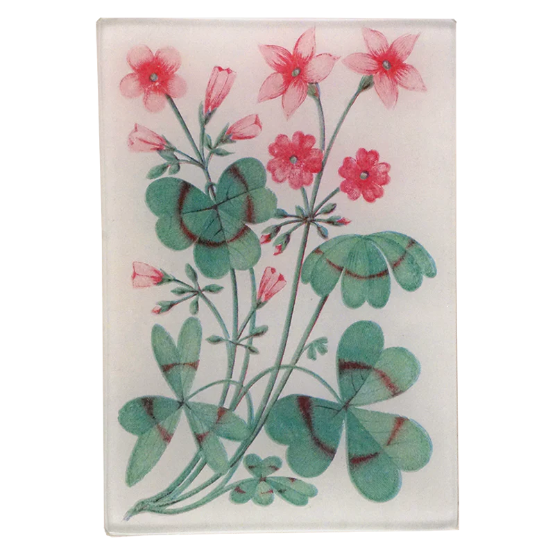 Clover Cream (Card Back)