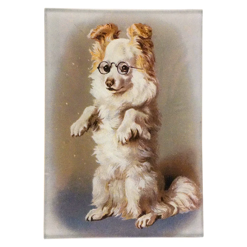 Dog Paws Up