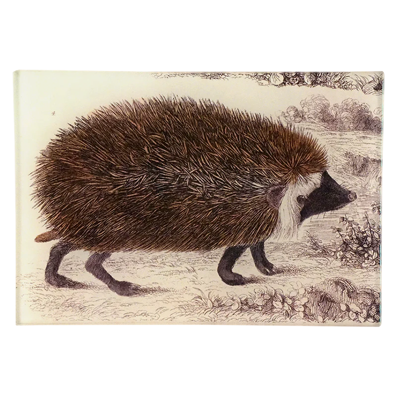 Hedge Hog