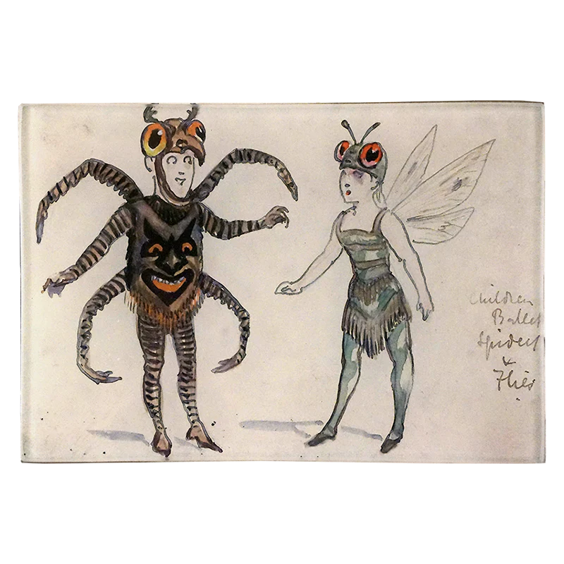 Spider & Fly