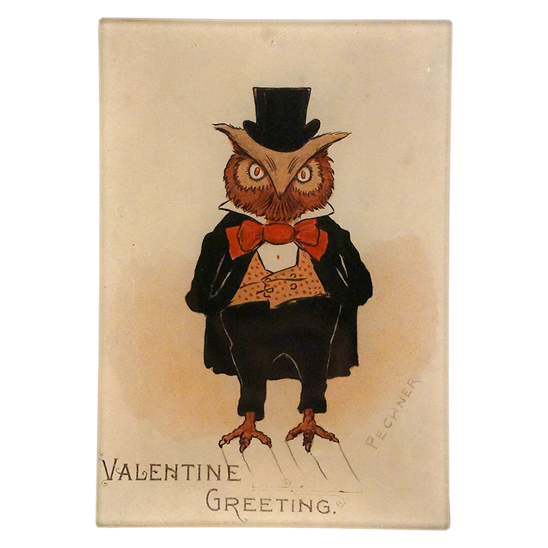 Sweet Owl