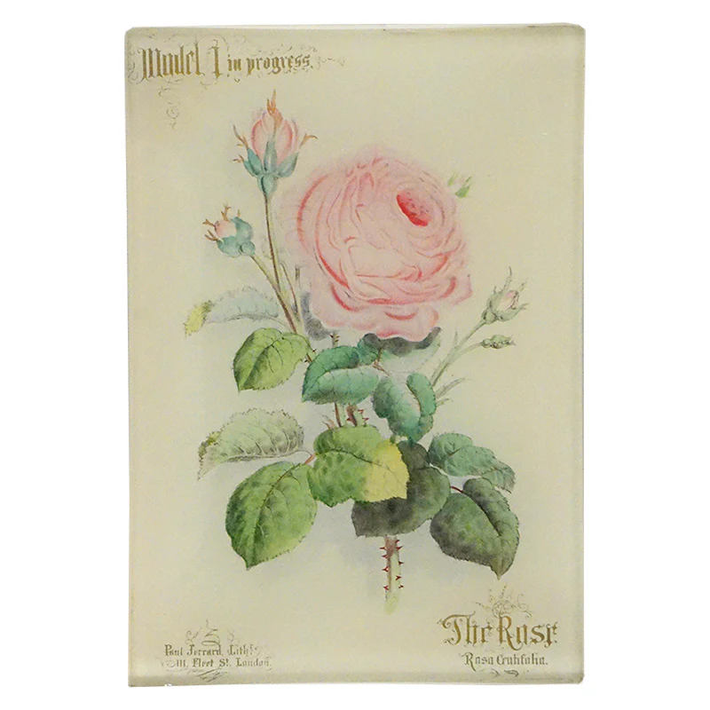 The Rose