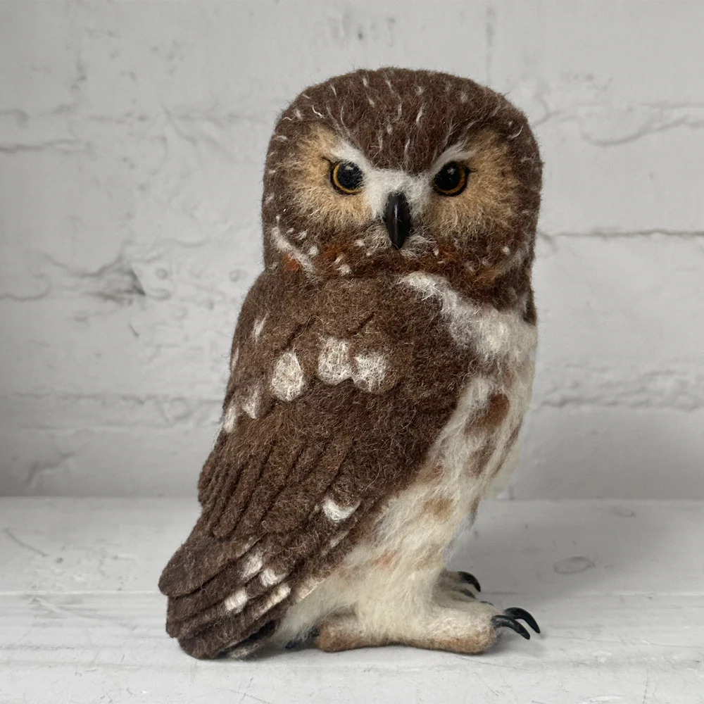 Needle Felted Left Facing Saw-Whet Owl