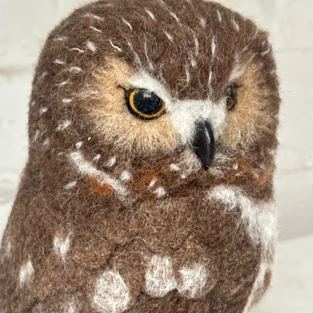 Needle Felted Left Facing Saw-Whet Owl - Image 3