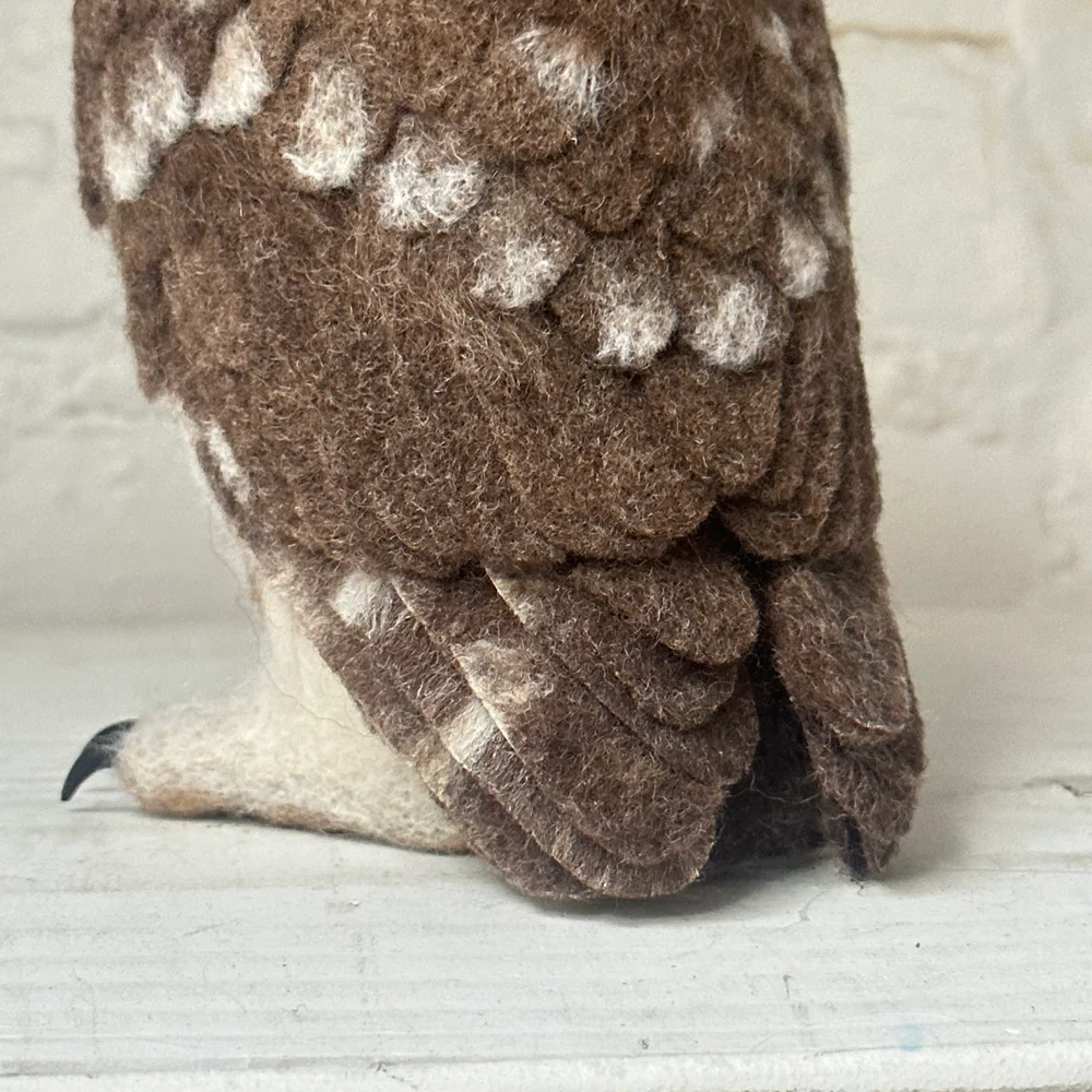 Needle Felted Left Facing Saw-Whet Owl - Image 6