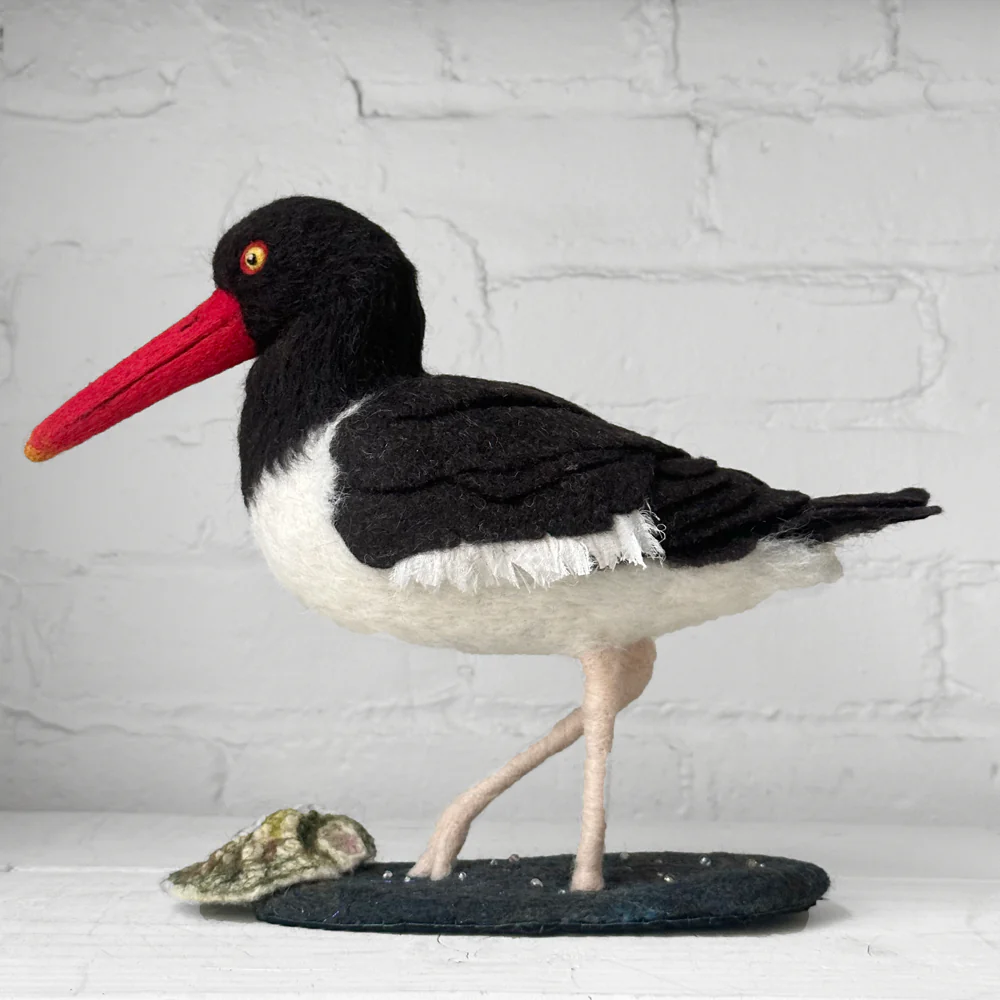 Needle Felted Oystercatcher #1