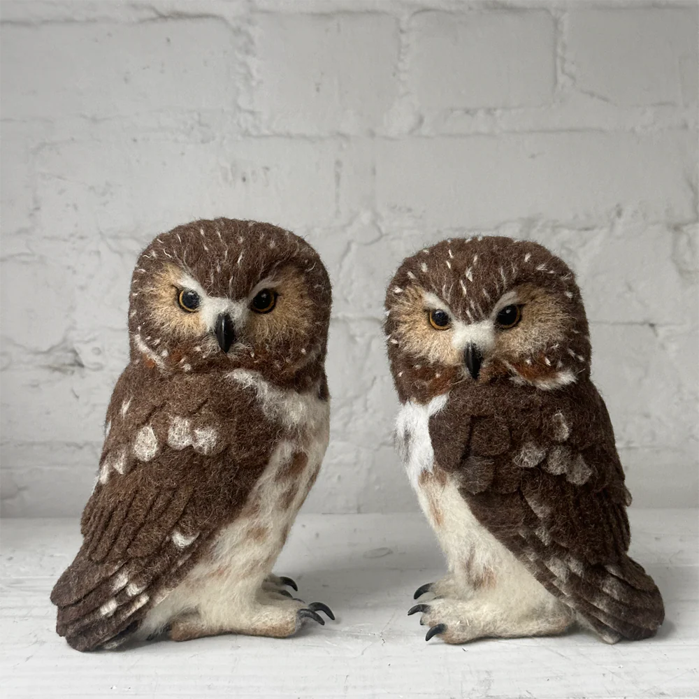 Needle Felted Right Facing Saw-Whet Owl - Image 2
