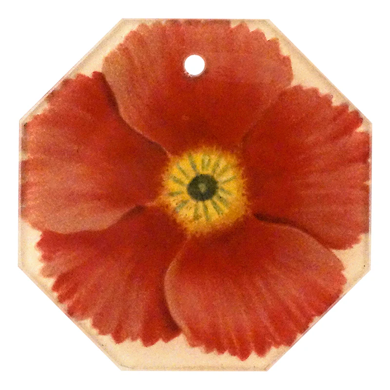 Primula 1