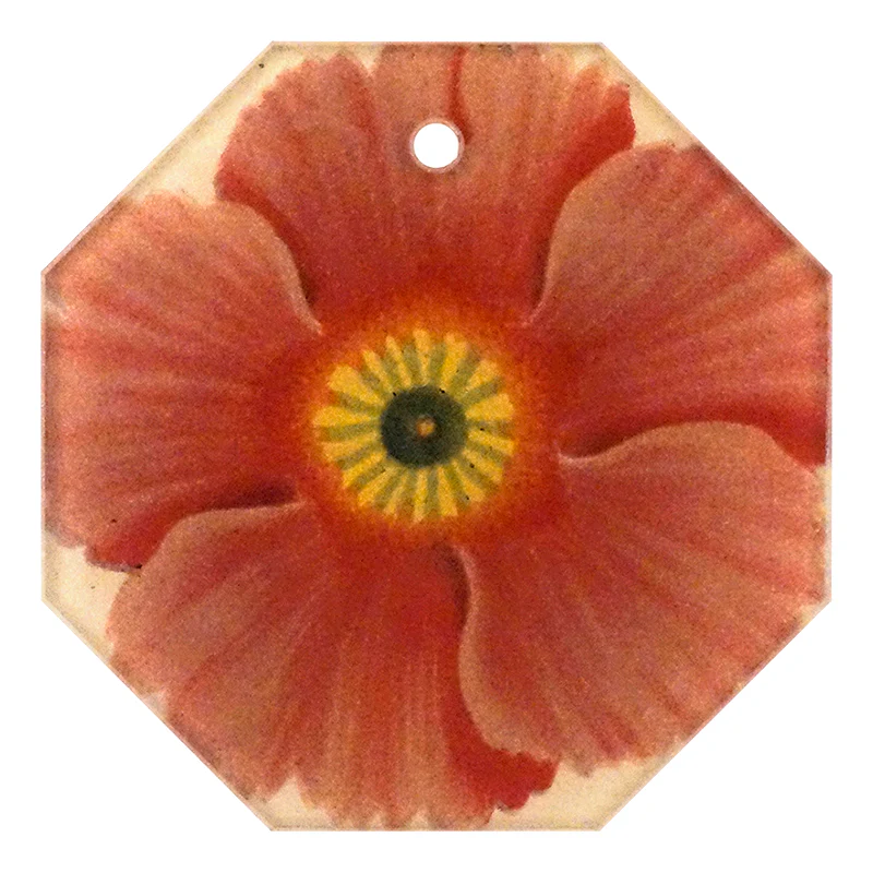 Primula 5
