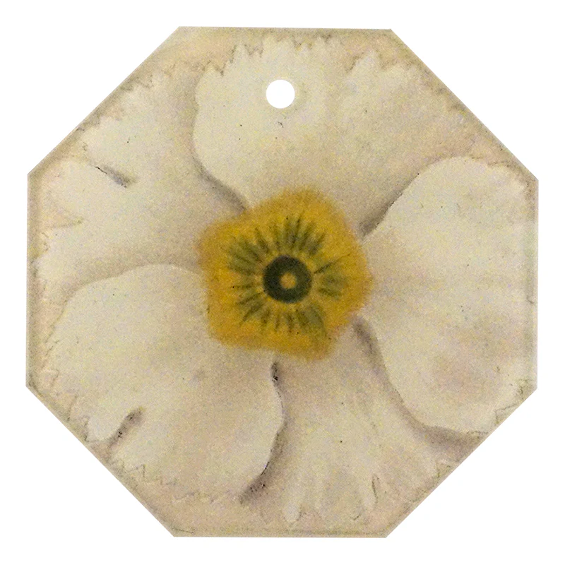 Primula 7