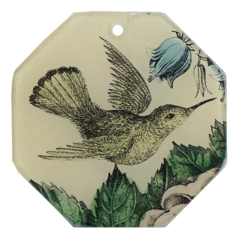 Sepia Hummingbird