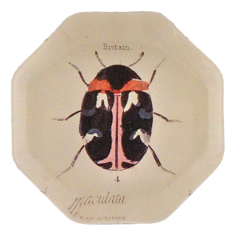 Dark Bug