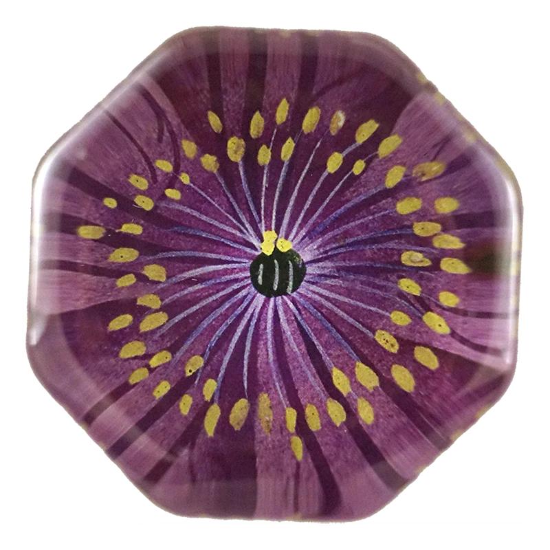 Jackmanii Clematis