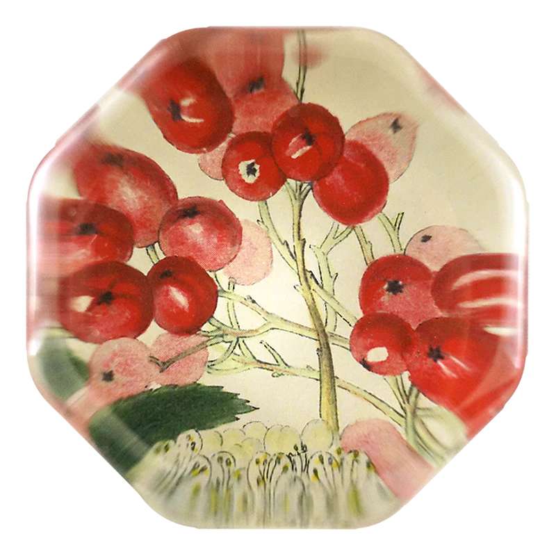 Mountain Ash Berries