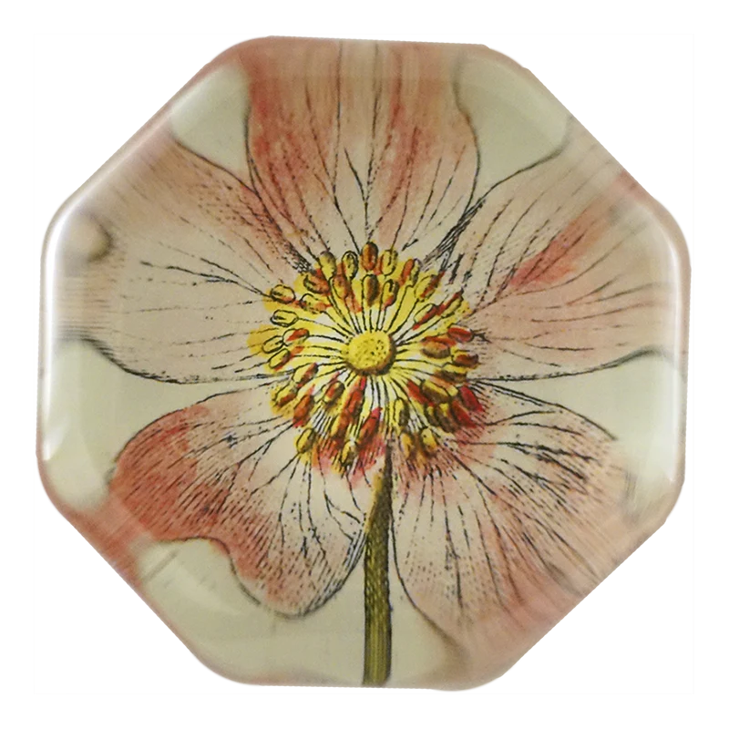 Rosa Canin