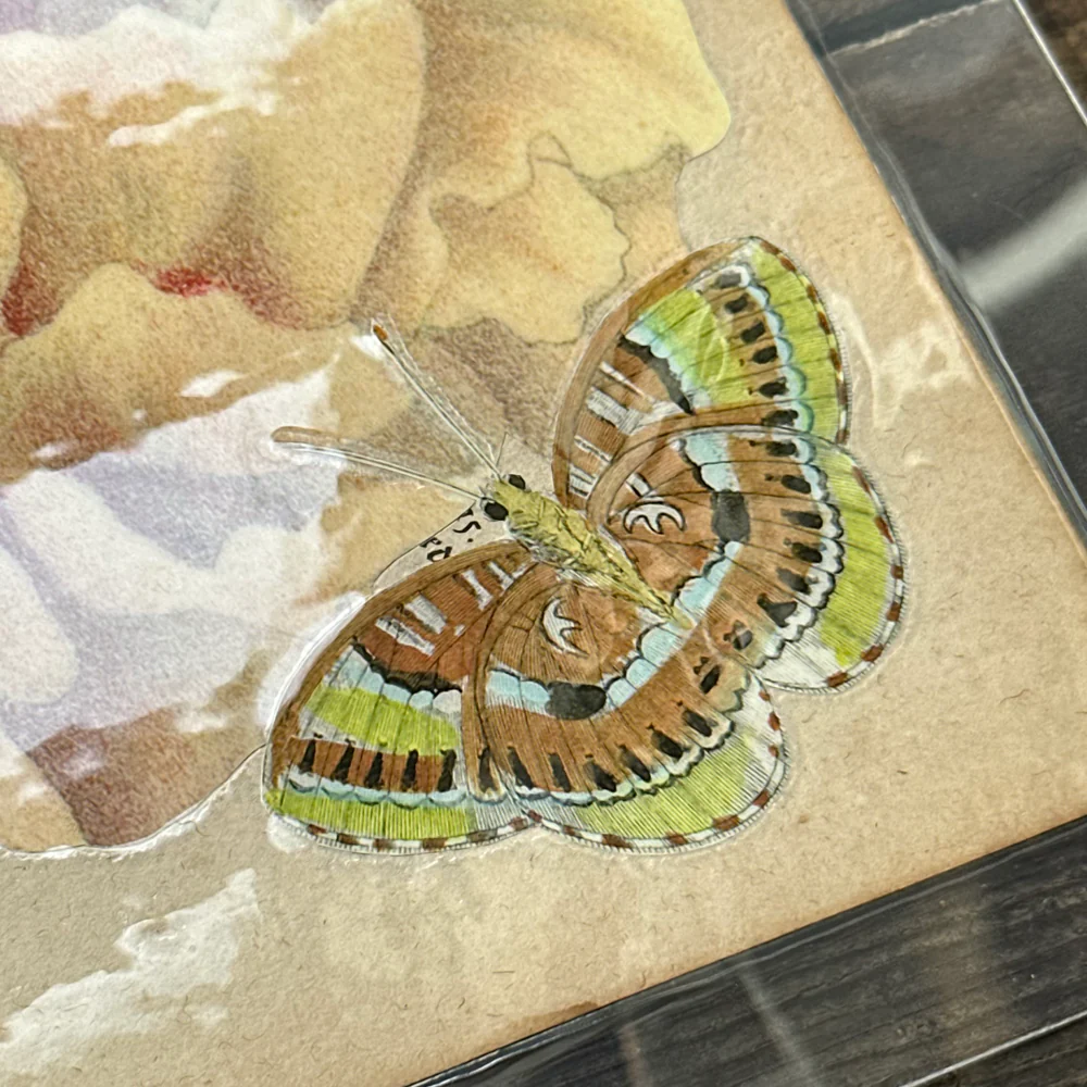One of a Kind Collaged Butterflies & Flower Mat Pair (2-10 & 2-11) - Image 7