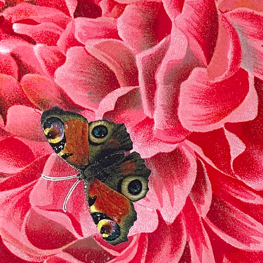 One of a Kind Collaged Butterflies & Flower Mat Pair (2-07 & 2-18) - Image 3