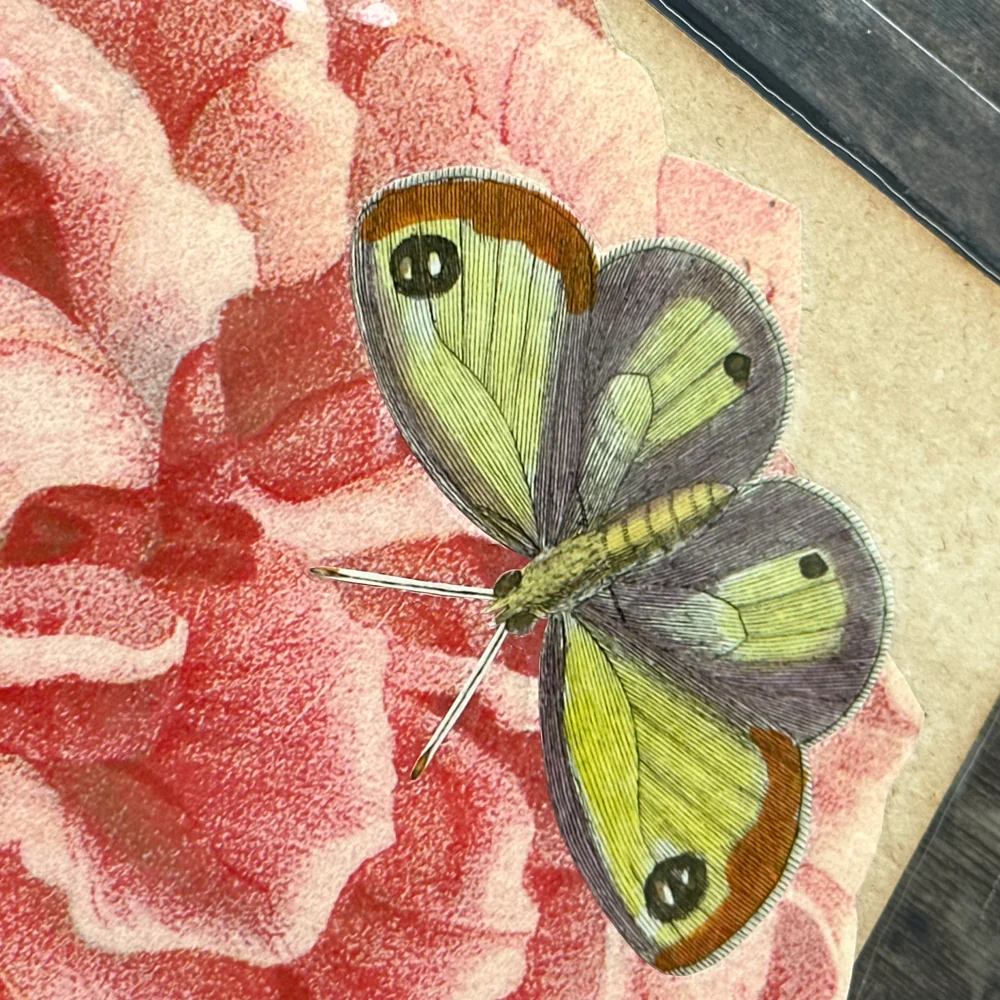 One of a Kind Collaged Pink Flower & Butterly Mat Pair (2-17 & 2-19) - Image 9