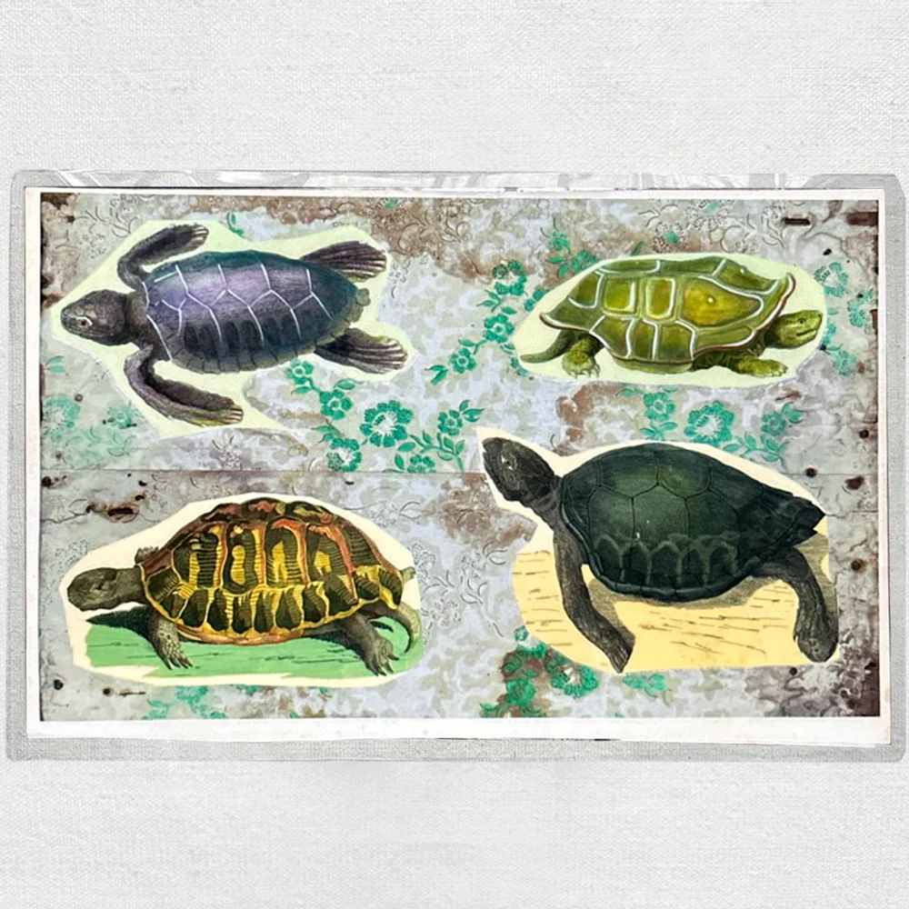 One of a Kind Collaged Turtles Table Mat (#631)