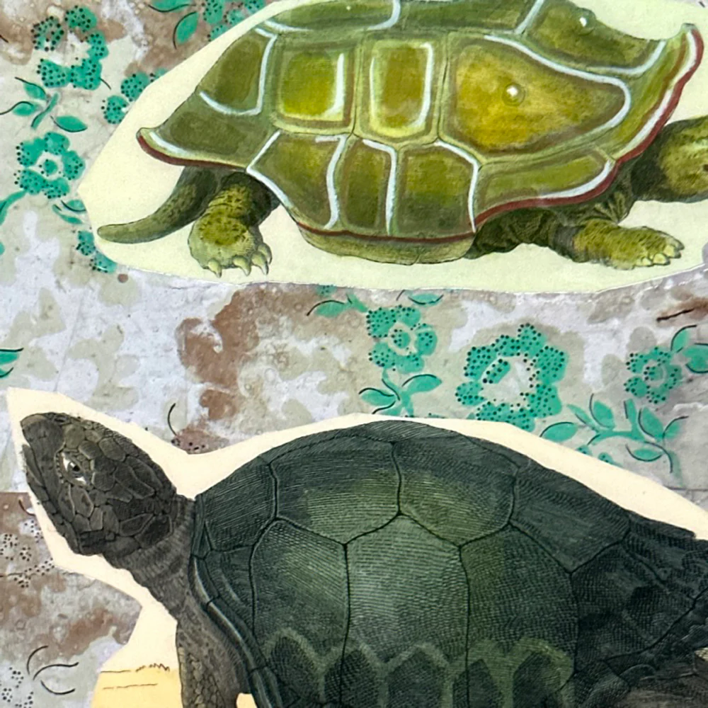 One of a Kind Collaged Turtles Table Mat (#631) - Image 2