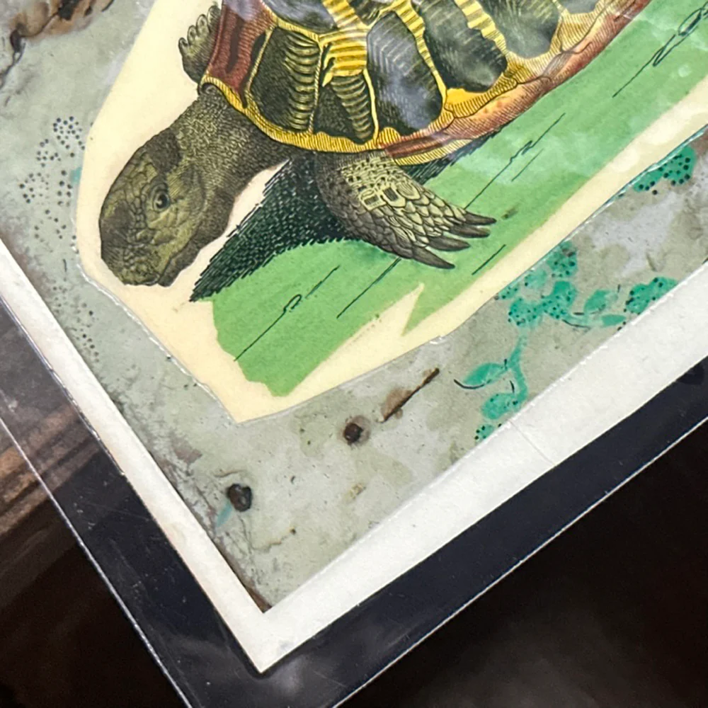 One of a Kind Collaged Turtles Table Mat (#631) - Image 3