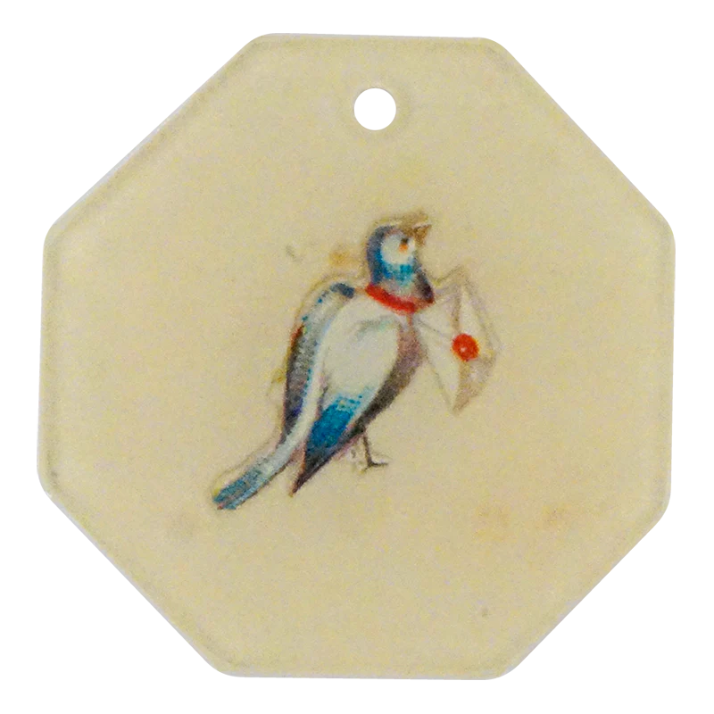 Homing Pigeon (Bits)