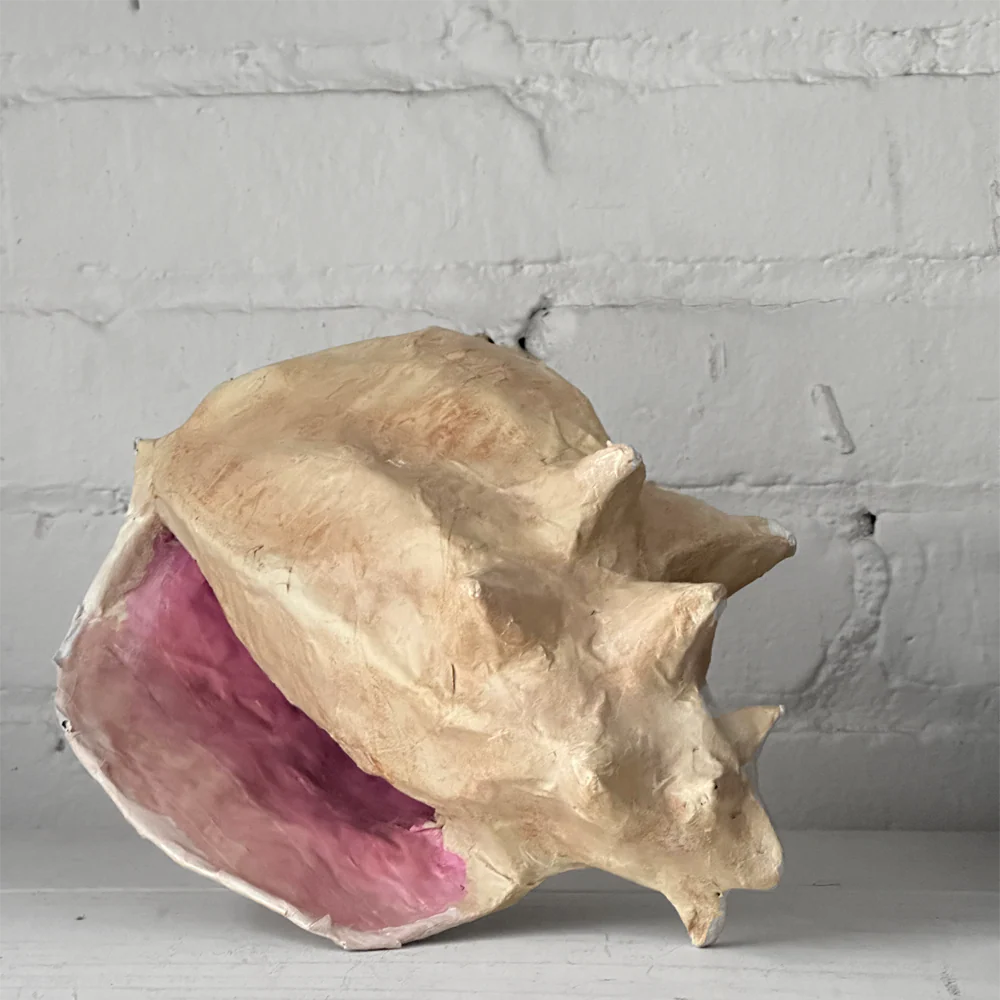 Papier-Mâché Conch Shell - Image 2