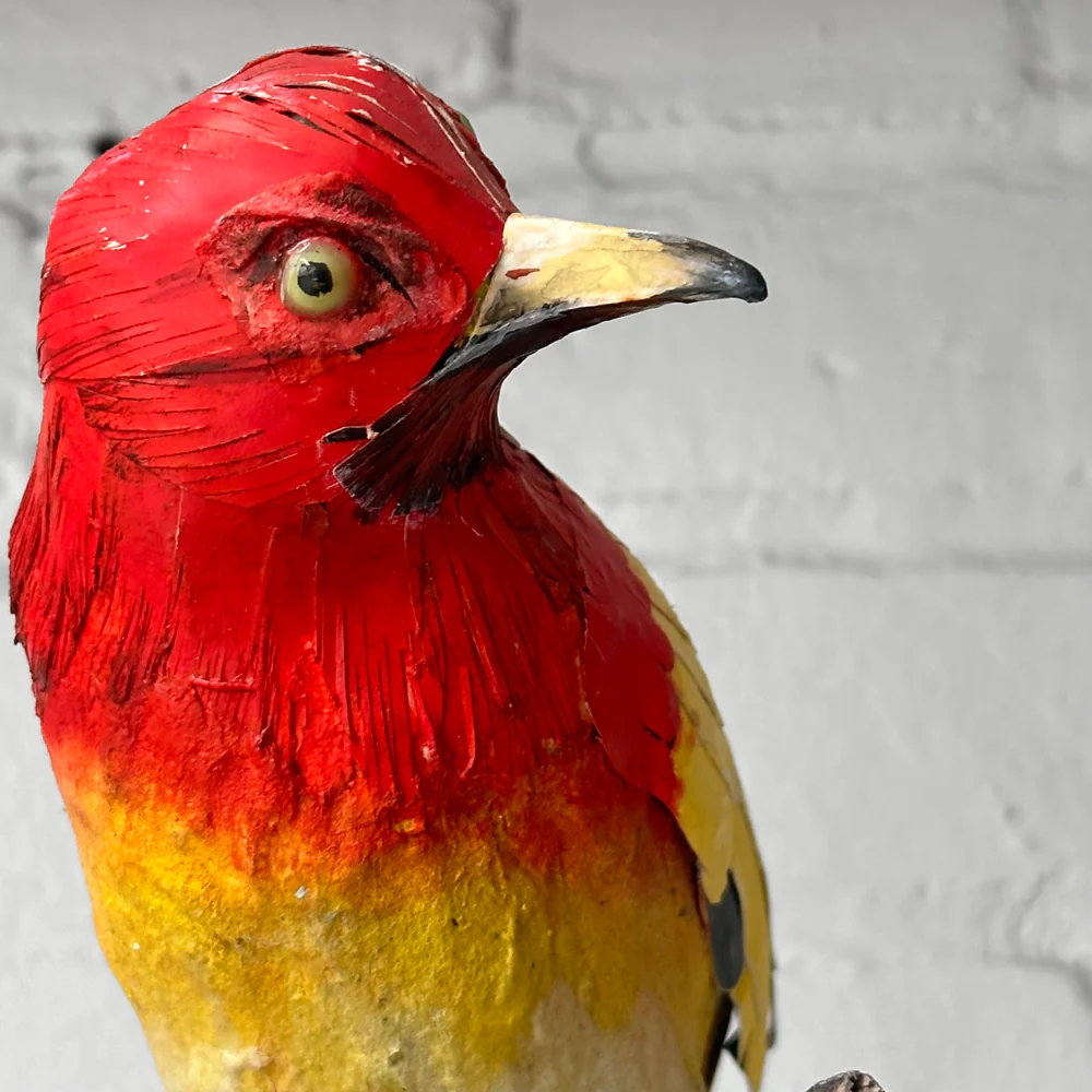 Papier-Mâché Flame Bower Bird #25 - Image 6