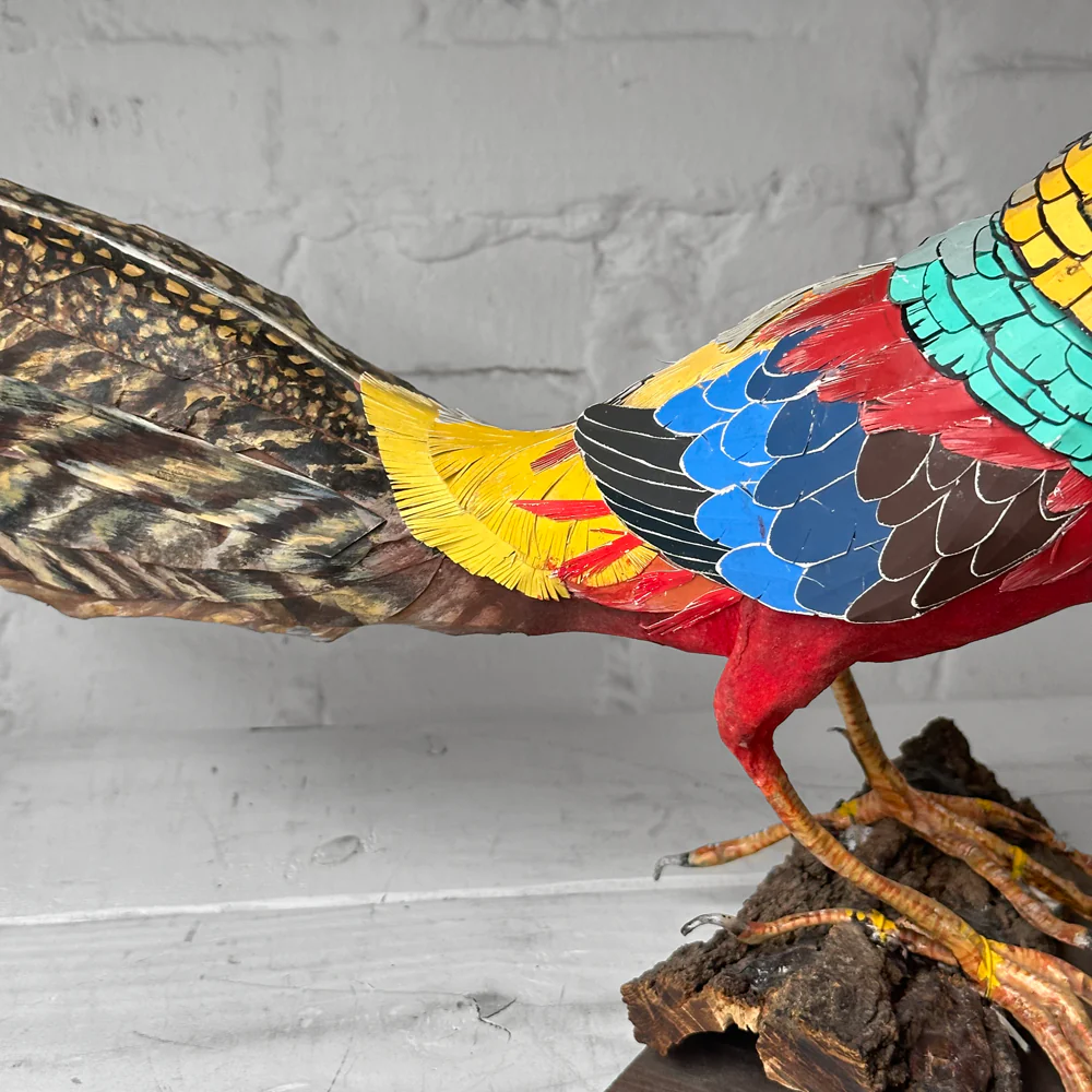 Papier-Mâché Golden Pheasant Bird #4 - Image 2