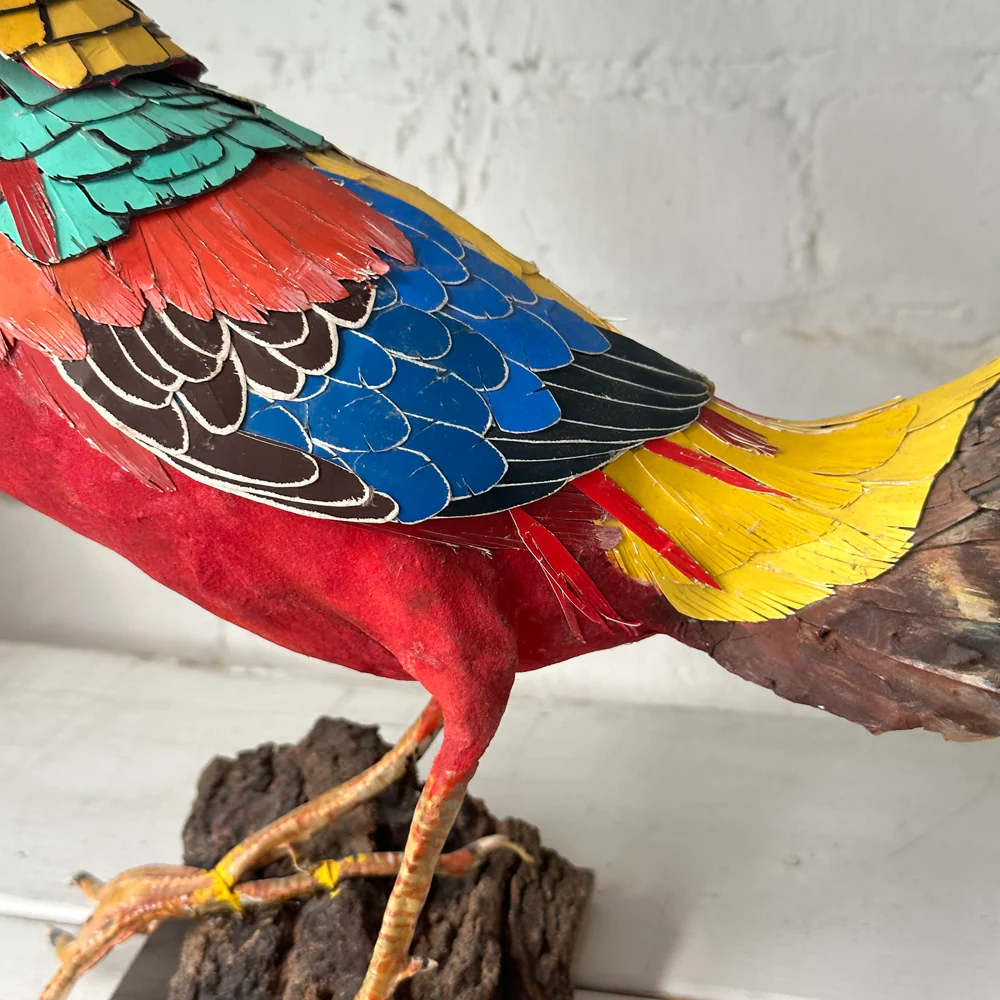 Papier-Mâché Golden Pheasant Bird #4 - Image 3