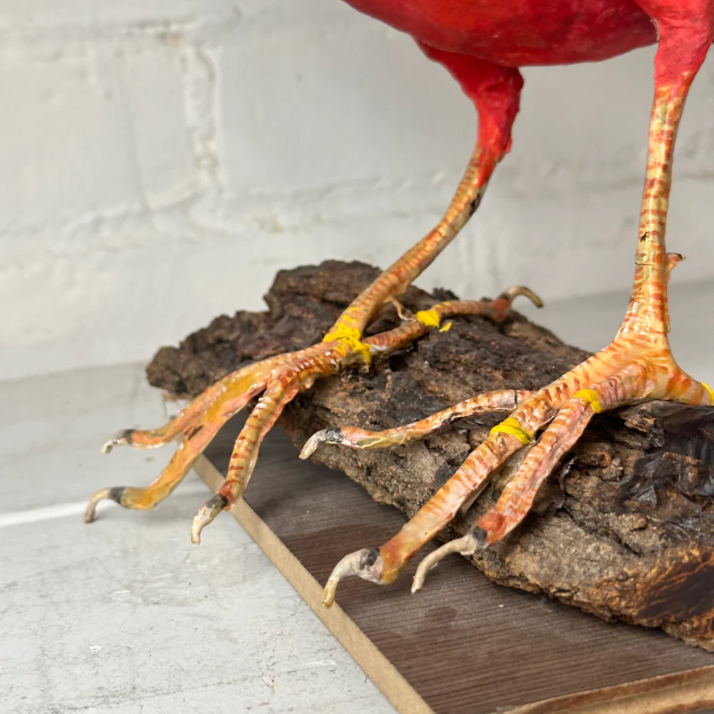Papier-Mâché Golden Pheasant Bird #4 - Image 5