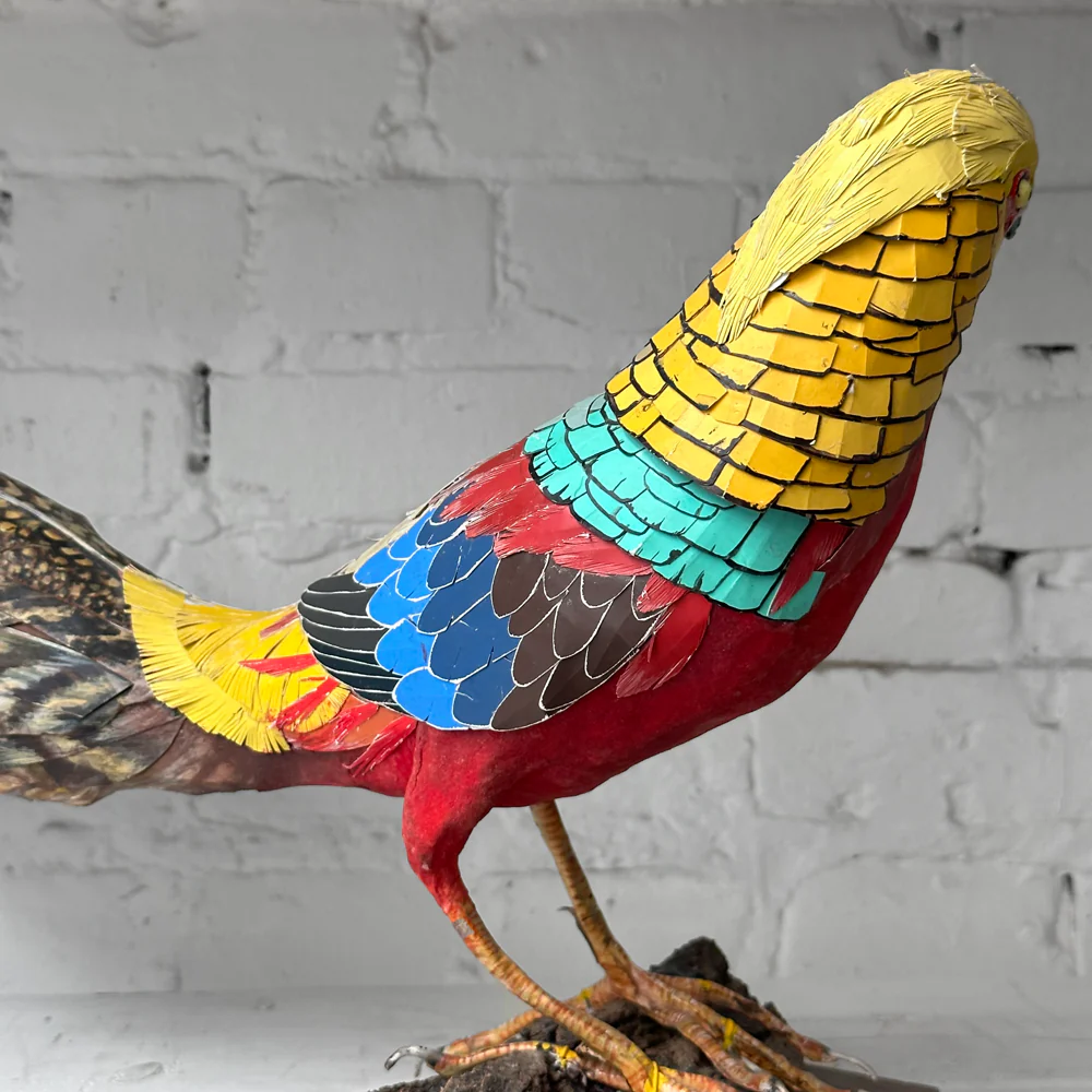 Papier-Mâché Golden Pheasant Bird #4 - Image 7