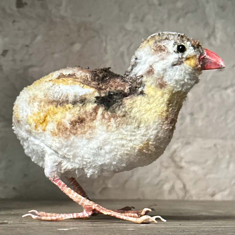 Papier-Mâché Guinea Fowl with Chick #38A - Image 7