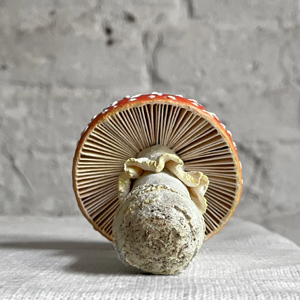 Papier-Mâché Mushroom - Image 3