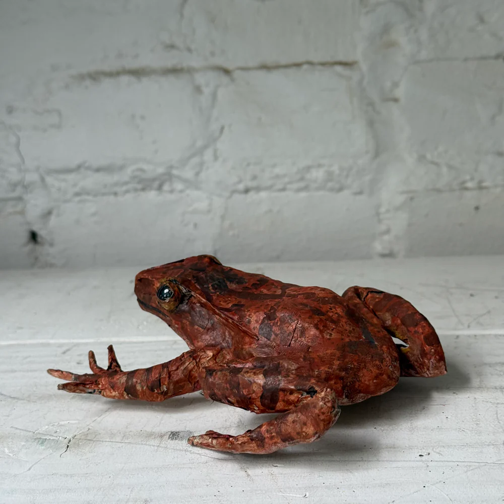 Papier-Mâché Painted Frog #5 - Image 3