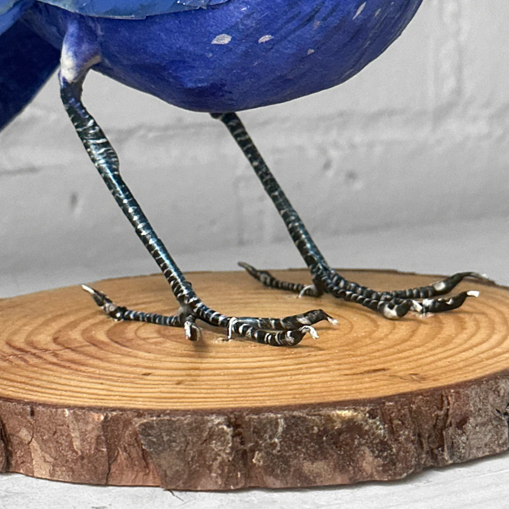 Papier-Mâché Whistling Thrush Bird #46 - Image 2