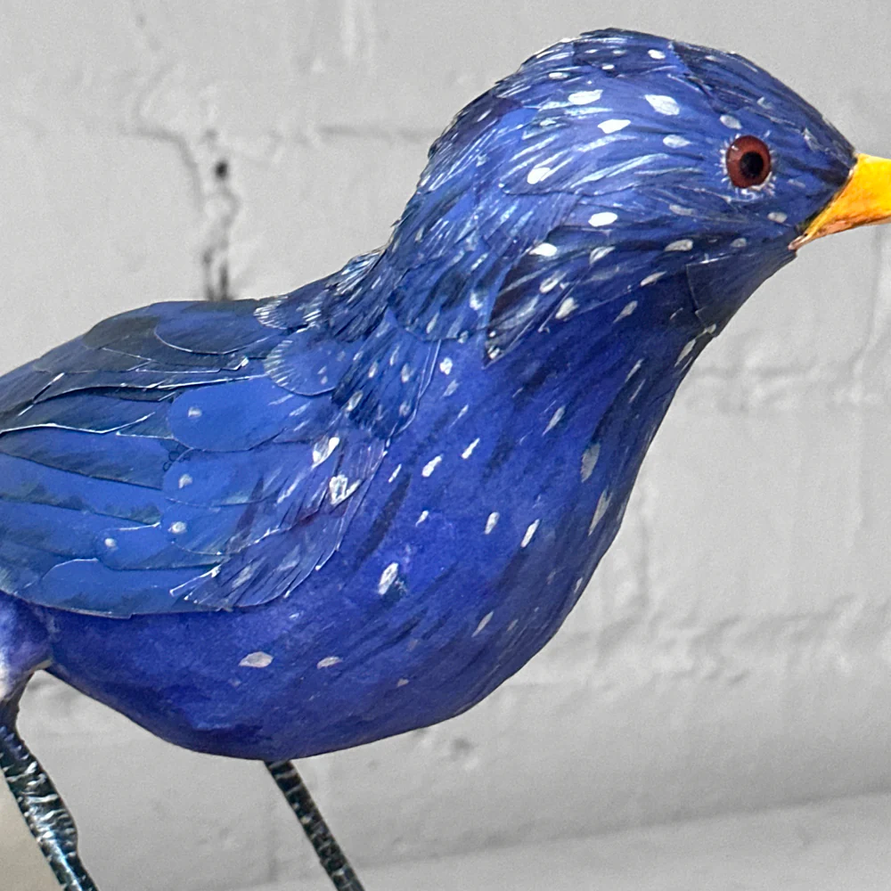 Papier-Mâché Whistling Thrush Bird #46 - Image 4