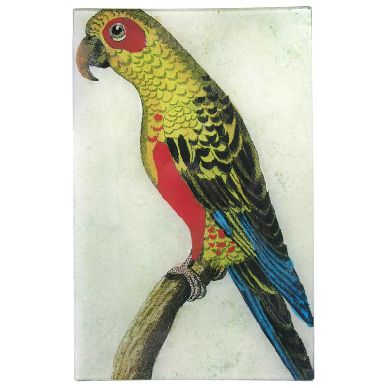 Parrot #6 - Yellow