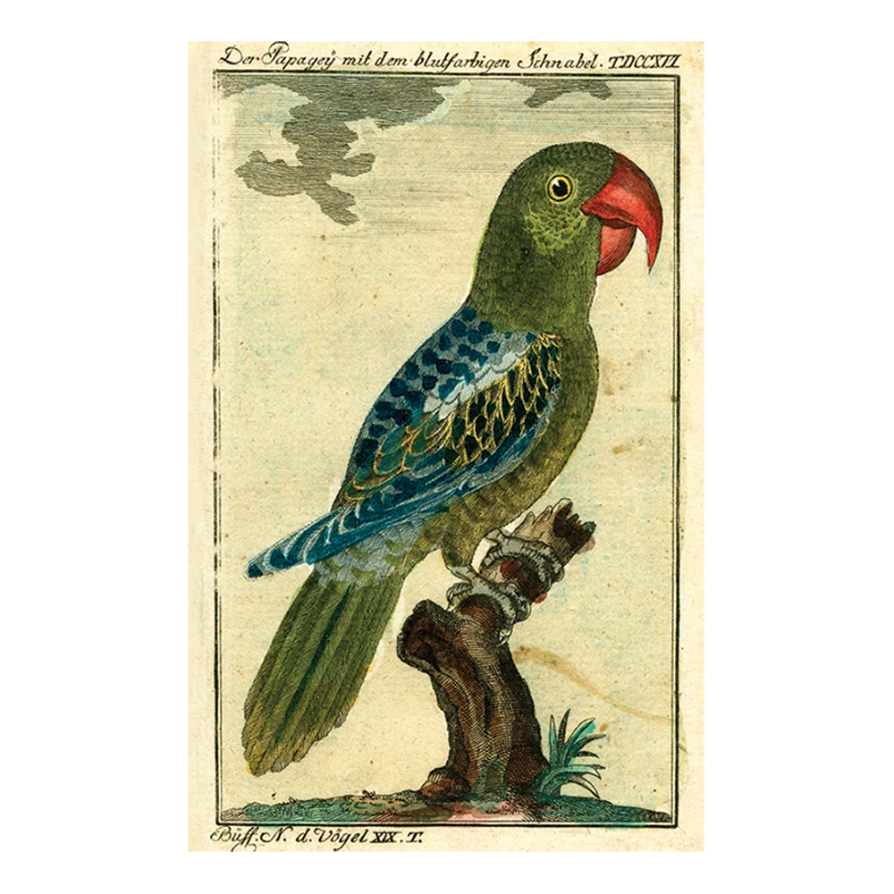 Parrot 7 Green