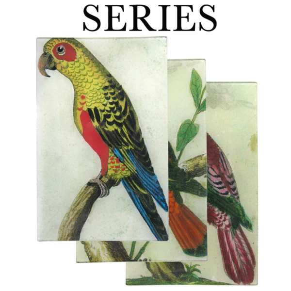 Parrots