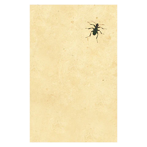 Dark Bug