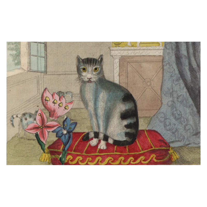 Calm Cat