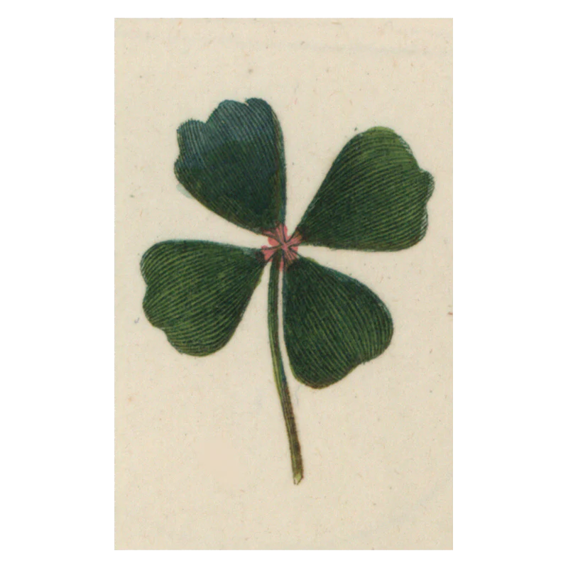 Clover