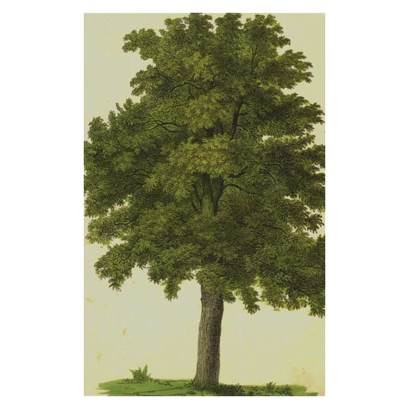 Green Tree