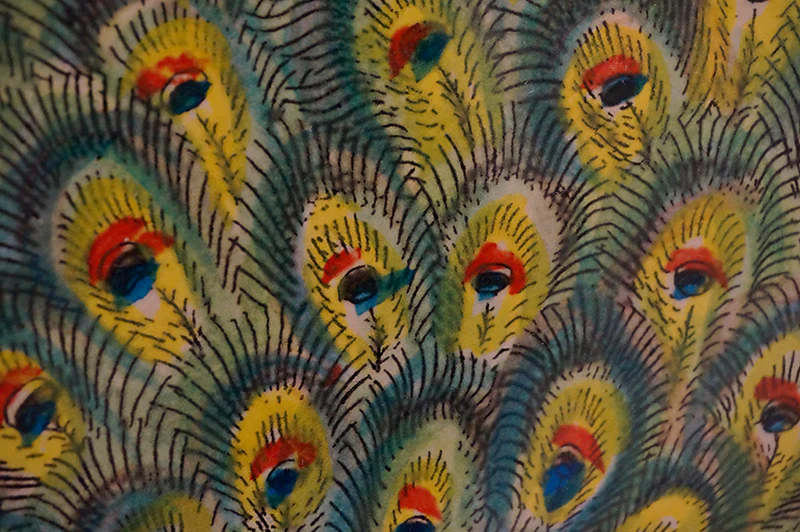 Peacock - Image 5