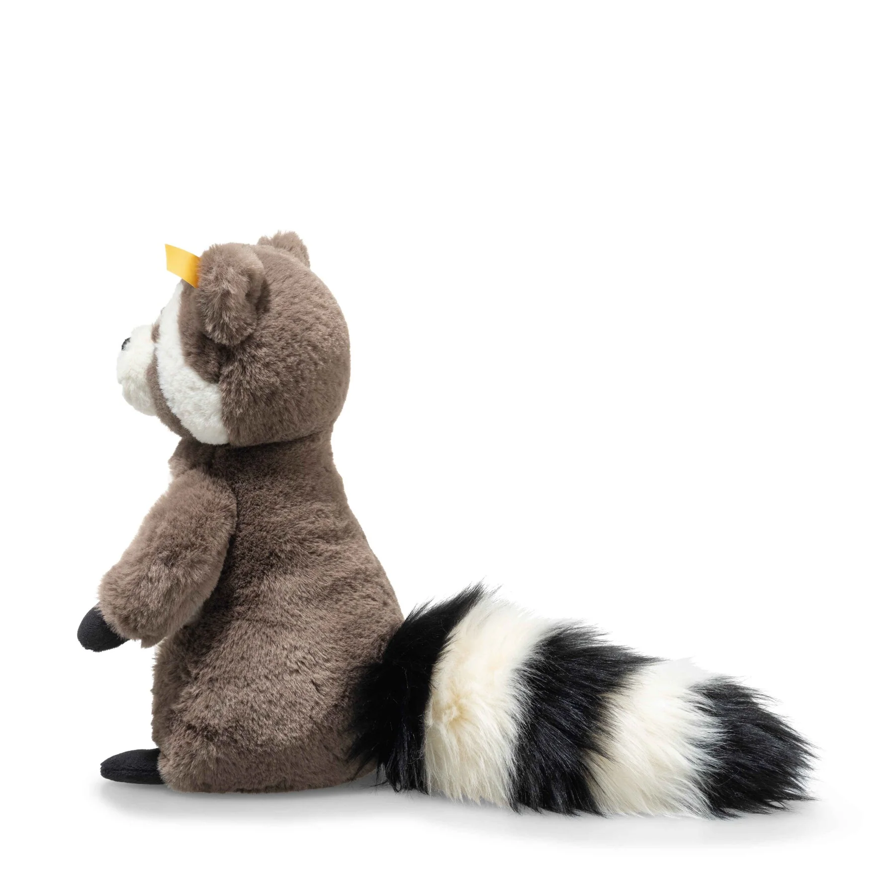 Pedro Racoon - Image 2