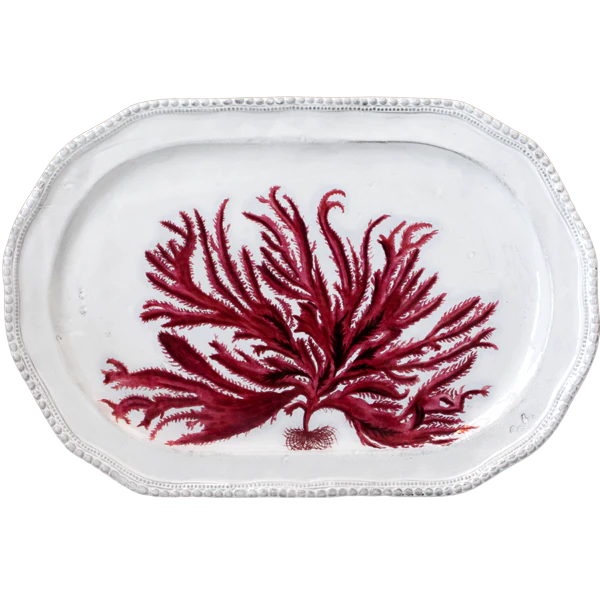 Red Seaweed Platter