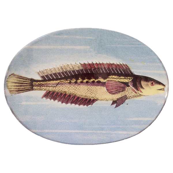 Painted Fish H Oval Plate
