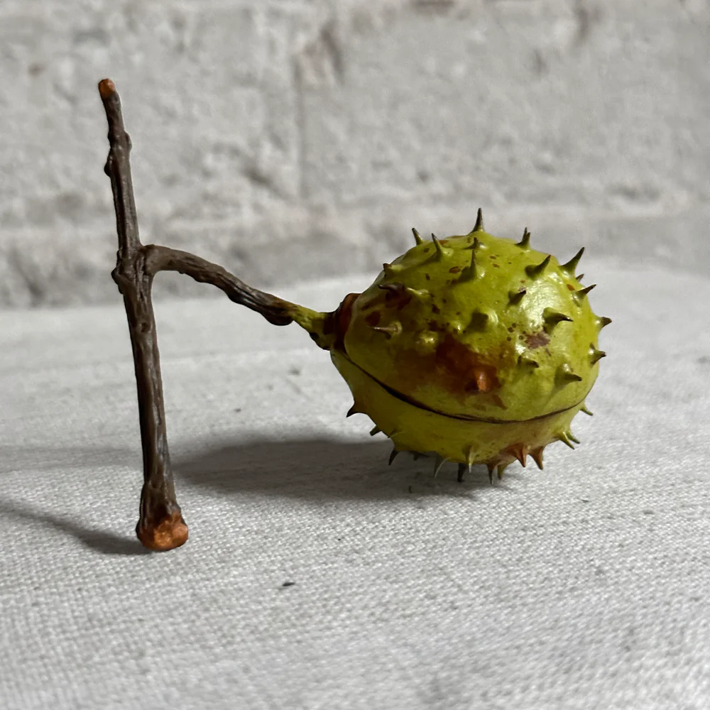 Porcelain Baby Horsechestnut Half Shell with Removable Nut & Lid on Twig - Image 3